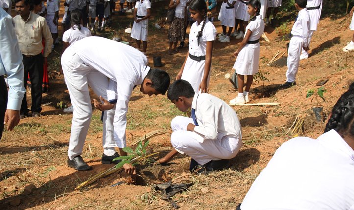Environmental tree planting sri lanka